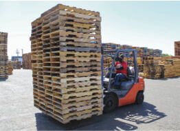 Produce shippers deal with pallet shortage